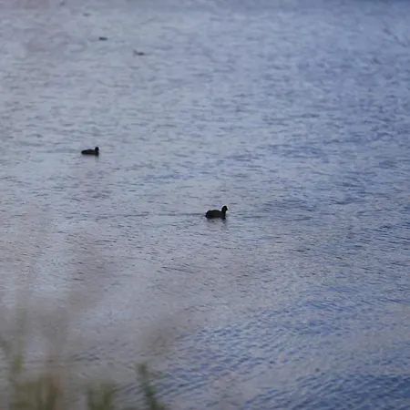 Private Eco Wooden Studio With Bath And Bikes And Garden * Amsterdam