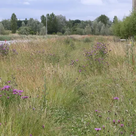 Private Eco Wooden Studio With Bath And Bikes And Garden * アムステルダム