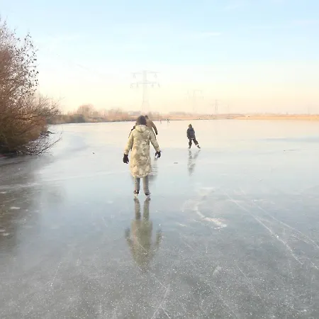 ゲストハウス Private Eco Wooden Studio With Bath And Bikes And Garden