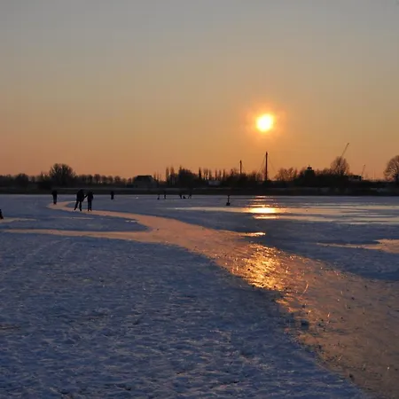 ゲストハウス Private Eco Wooden Studio With Bath And Bikes And Garden