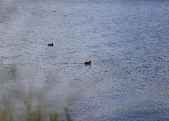 Private Eco Wooden Studio With Bath And Bikes And Garden * Amsterdam