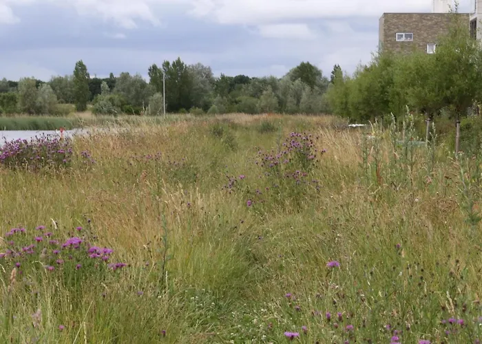 Private Eco Wooden Studio With Bath And Bikes And Garden *