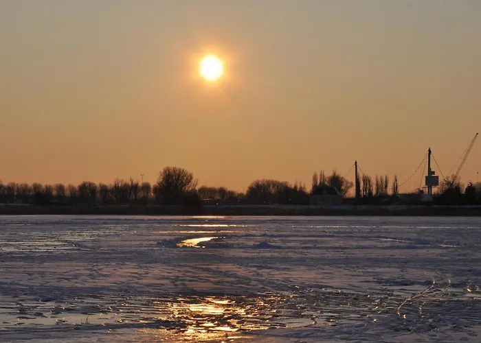 Private Eco Wooden Studio With Bath And Bikes And Garden Gæstehus *