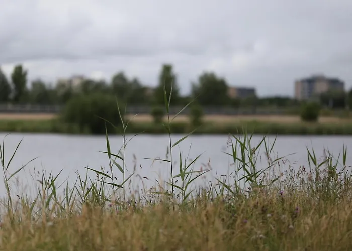 Gæstehus Private Eco Wooden Studio With Bath And Bikes And Garden