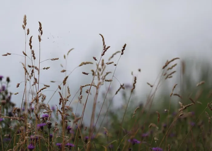 Gæstehus Private Eco Wooden Studio With Bath And Bikes And Garden *