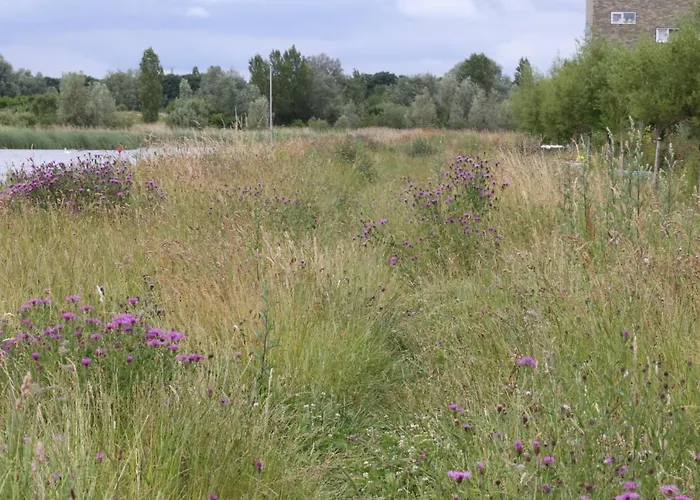 Private Eco Wooden Studio With Bath And Bikes And Garden * Amsterdam