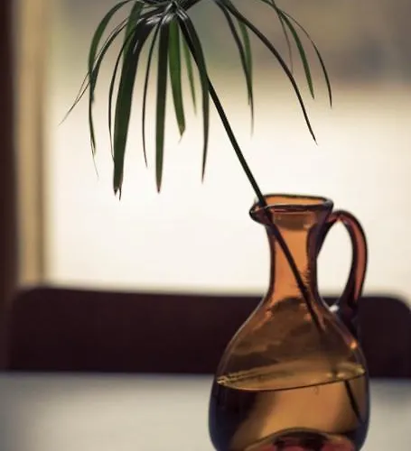 Private Eco Wooden Studio With Bath And Bikes And Garden Pensión