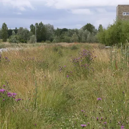 Private Eco Wooden Studio With Bath And Bikes And Garden *