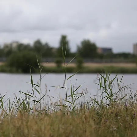 Maison d'hôtes Private Eco Wooden Studio With Bath And Bikes And Garden