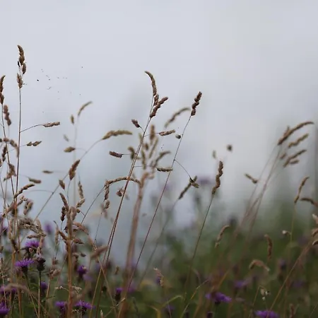 Maison d'hôtes Private Eco Wooden Studio With Bath And Bikes And Garden *